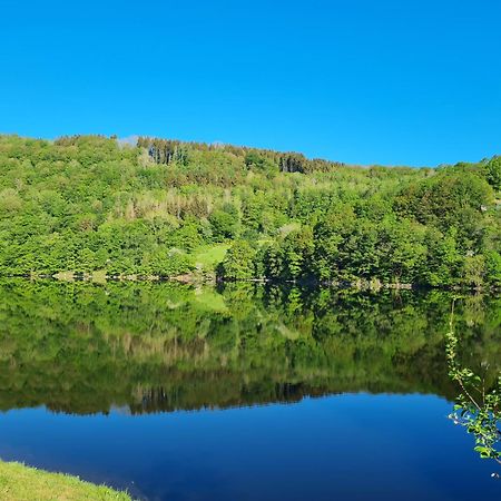 Ferienwohnung Am Rursee ジンメラート エクステリア 写真