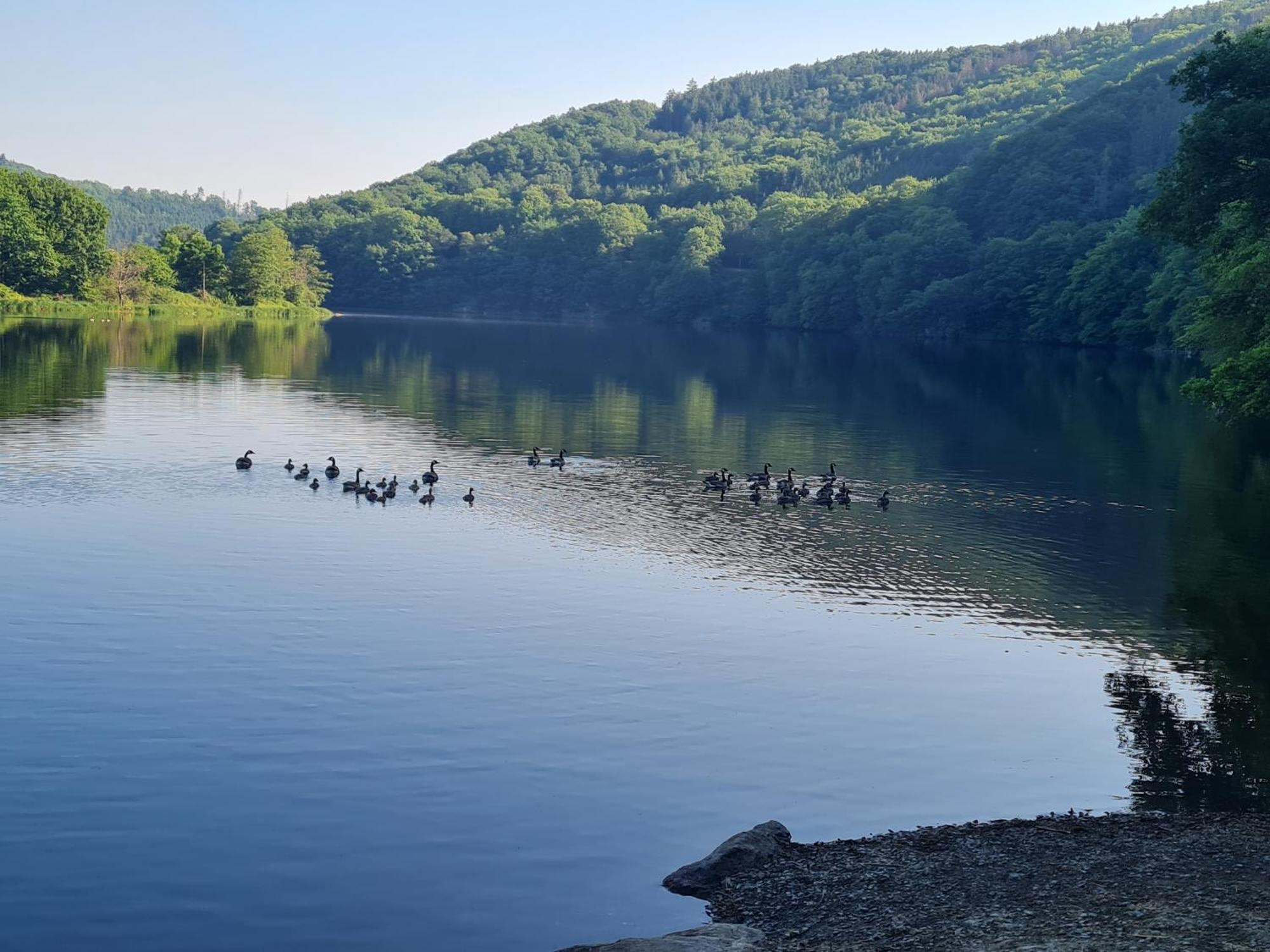 Ferienwohnung Am Rursee ジンメラート エクステリア 写真