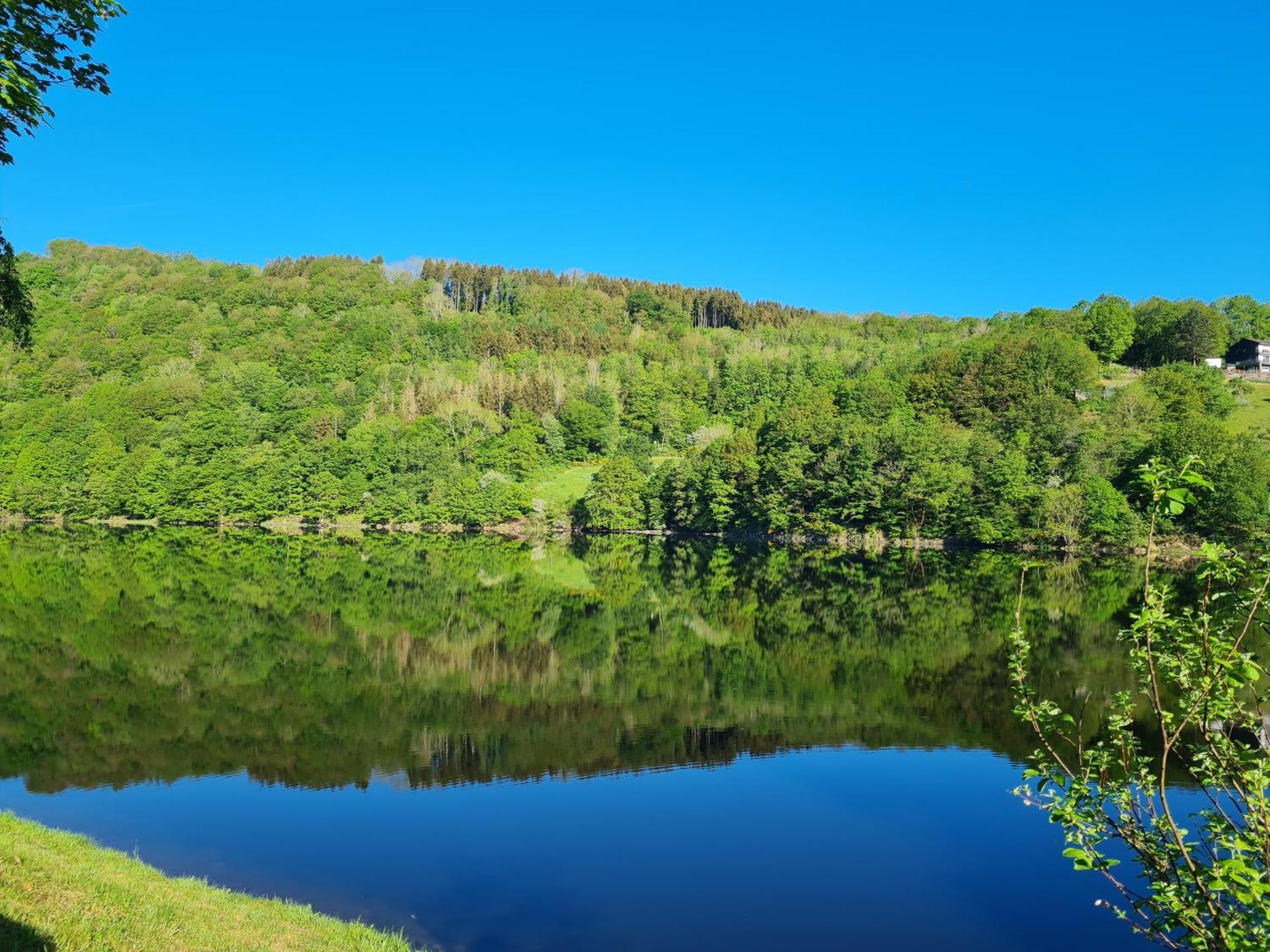 Ferienwohnung Am Rursee ジンメラート エクステリア 写真